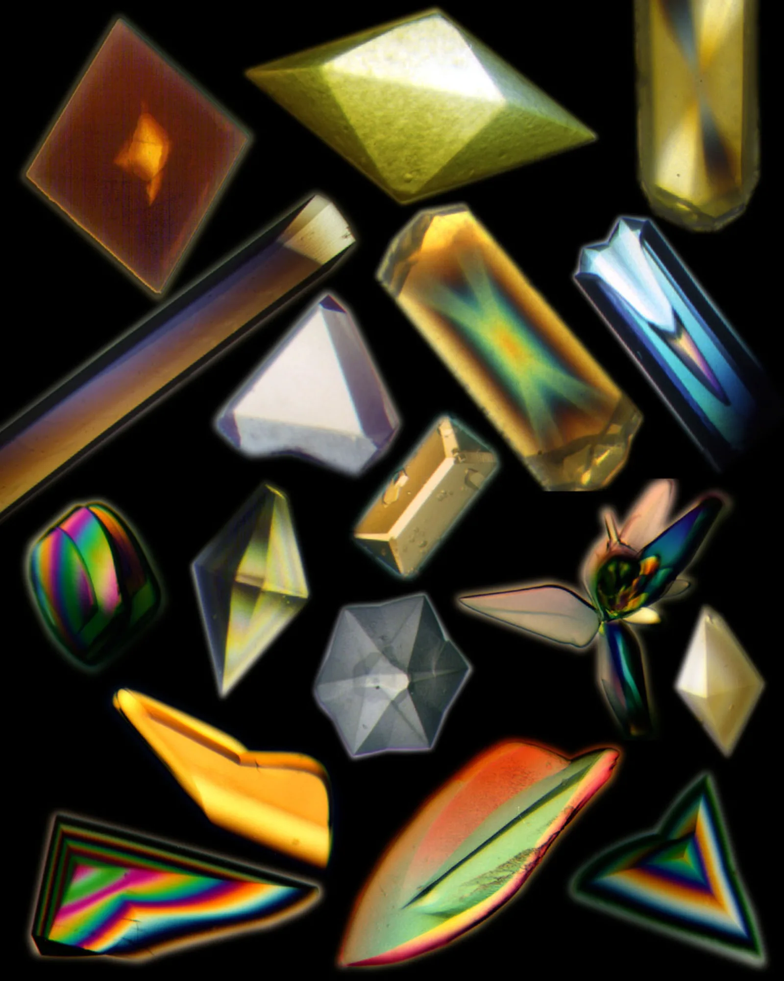 Protein crystals under magnification