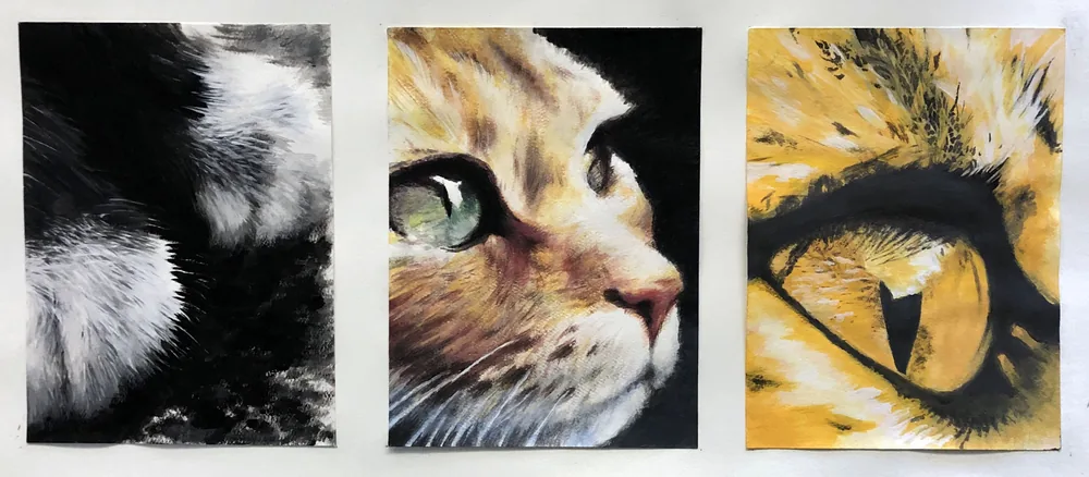 Three Cats