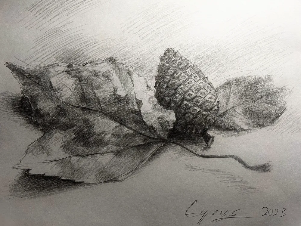 Acorn and Oak Leaf